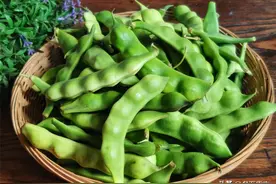 秋天，碰到这个豆角别手软，放冰箱冷冻，新鲜如初，有钱也买不到图片
