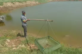 把盐碱地变成水美鱼肥的聚宝盆——河南盐碱地渔业获中科院专家点赞图片