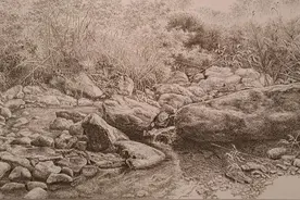 一周一画钢笔画图片