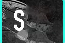 社交软件真的靠谱吗？三年老用户替你回答图片