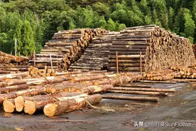 在俄罗斯打工谋生计的东北人老刘，为了多攒点钱八年不回家图片
