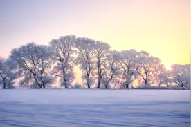 人生的三次觉醒，越早知道越好！图片
