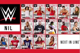 WWE官方公布NIL计划首批签约明星，高配版的贝拉姐妹上线图片