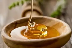 每天学习一味中药——蜂蜜图片