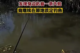 蟒蛇泛滥？海南钓鱼人遭遇大蟒蛇网络热传，近期频繁有蟒蛇出现图片