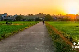 不要拿别人的地图，走自己的路图片