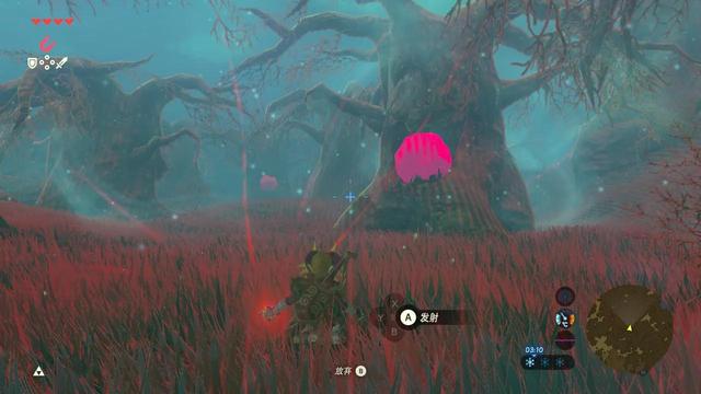 塞尔达传说之旷野之息全神庙位置（六）——森林之塔