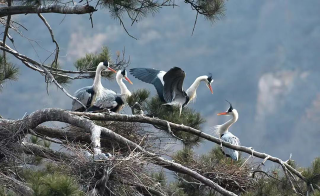 四川省民生研究会新媒体中心-官网