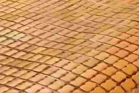 冲上热搜！曾经很火的麻将凉席怎么消失了？网友的话，真相了......图片