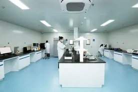 助力新药研发上市提速！又一重磅CDMO平台落地浦东图片