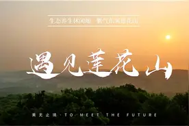 莲花山“疫”线动态66|多部门视频会议推进征拆工作图片
