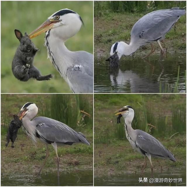 看完这组震撼的图片，才明白大自然有多可怕…