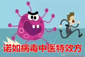 一个治诺如病毒的特效方 祛风散寒止痛，上治呕吐 中缓腹痛 下止泄泻图片