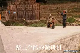 微耕机下的冤魂图片