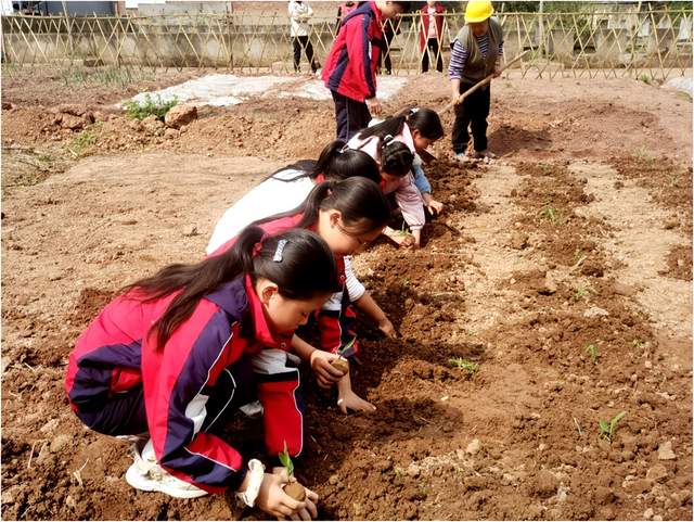 四川省民生研究会新媒体中心-官网