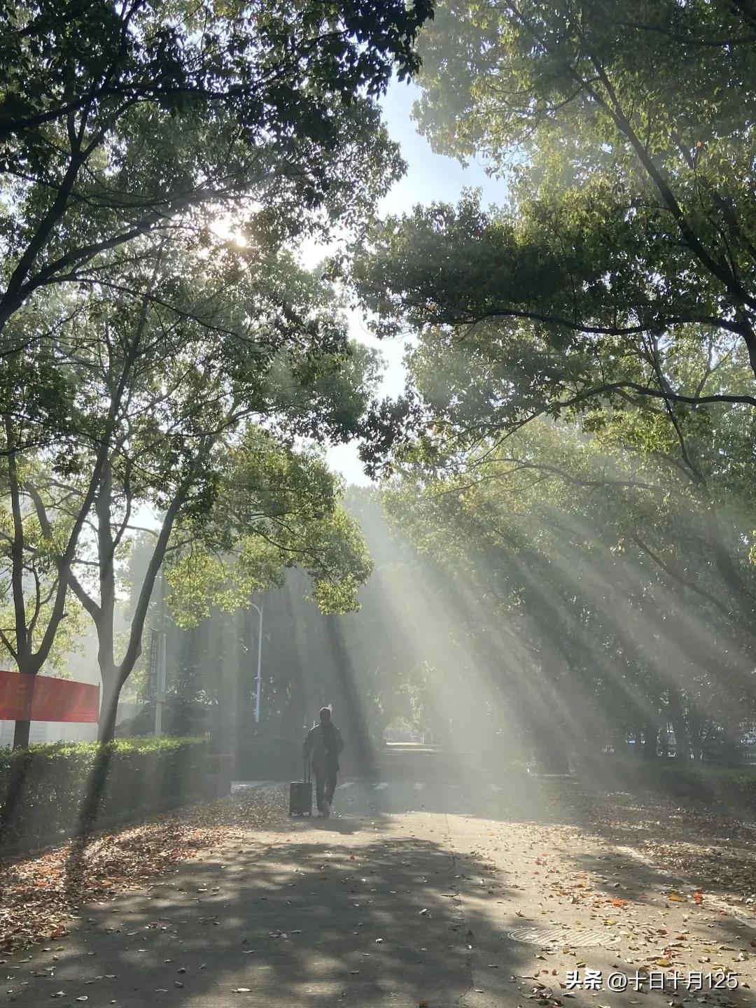 高中数学培优:马尔可夫链插图1 高中数学培优:马尔可夫链