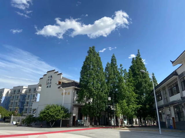K9和K12学校，在升学方面到底能有多大优势？