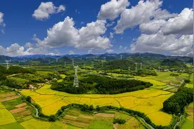 沿着总书记的足迹｜创新的南瑞风华正茂图片