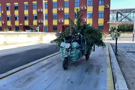 废桃枝变有机肥，大桃更好吃！农村污染这么治——图片