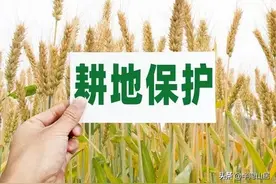 姗姗来迟的官方辟谣:退林还耕不存在。网友却不买账:损失谁来担？图片