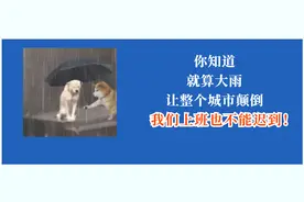 申请执行要准备什么材料？执行申请费咋收费？一文讲清！执行法官权威解答！图片