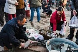 过年买鱼，老渔民说这5种海鱼不能养殖，遇到了别错过，贵也值得图片