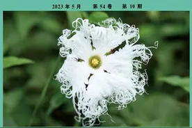中药多糖的免疫调节作用图片