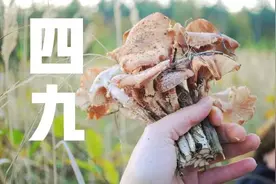 明日进四九，四九天气晴好高温有啥说法？春节冷到哭吗？农谚咋说图片