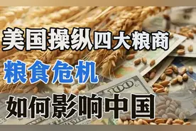 全球粮价上涨，美国操纵四大粮商捞金，中国粮企凭实力赶超图片
