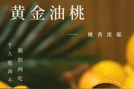 “桃”不掉了！个大饱满的黄金油桃，人见人爱图片