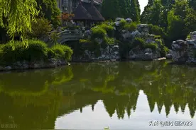 再读鲁迅的书，受益良多图片