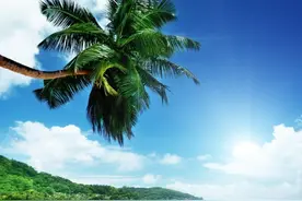 成大事的人，都有10个特点图片