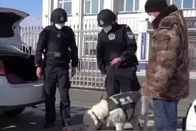 战功赫赫！15只警犬获评首批“功勋犬”图片