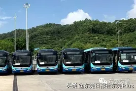 注意！今起，东莞这4条公交线路取消图片