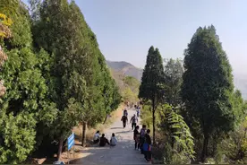 秋游紫山图片