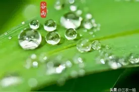 “热不热？就看三月初一”，今日三月初一，夏天热吗？看农谚咋说图片