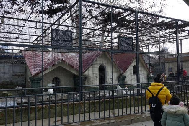 刻舟求剑总是让人失望的:连云港新浦公园动物园