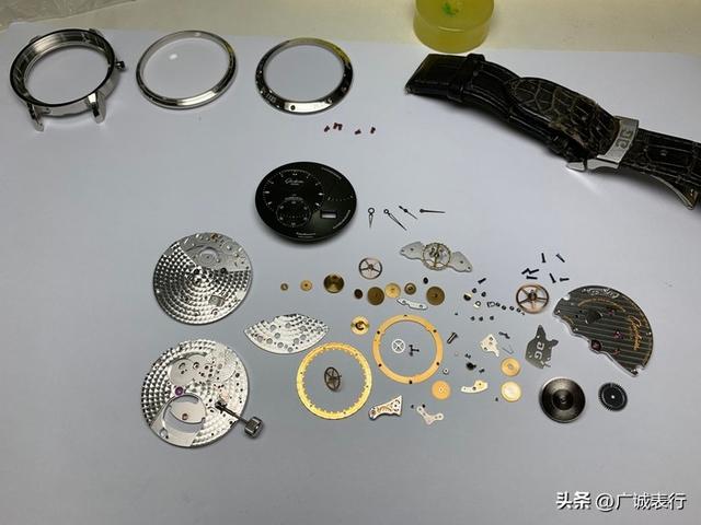 �����ĸ����յ�ԭ��������һֻ��������