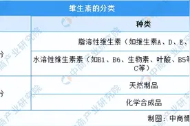 2022年中国维生素行业市场前景及投资研究报告图片