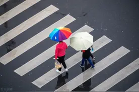 明明是人走的路，为什么叫马路？图片
