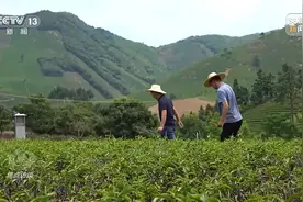 焦点访谈丨牢记使命 做人民的好公仆图片