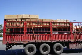 运输乱象不止，行业复苏无望！货运行业的未来其实在我们自己手中图片