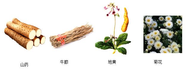 中考生物一轮复习 专题训练八 人的食物来自环境