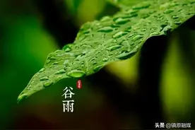谷雨，告别最后的春天图片
