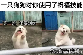 笑喷饭的神回复：二舅妈，你听我狡辩啊！笑出鹅叫哈哈哈哈图片