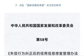 从刷屏的“征信大赦”说起图片