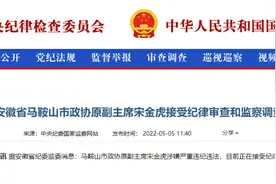 中纪委通报，宋金虎被查图片