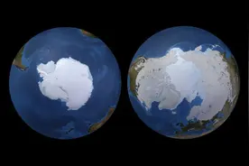 南北两极同时出现极端高温。气象专家：从未见过这种情况图片