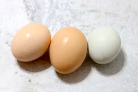 买鸡蛋，分清普通鸡蛋和土鸡蛋，区别真大，分辨清楚，吃着更香图片