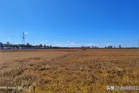 谁把俺忽悠瘸了？图片